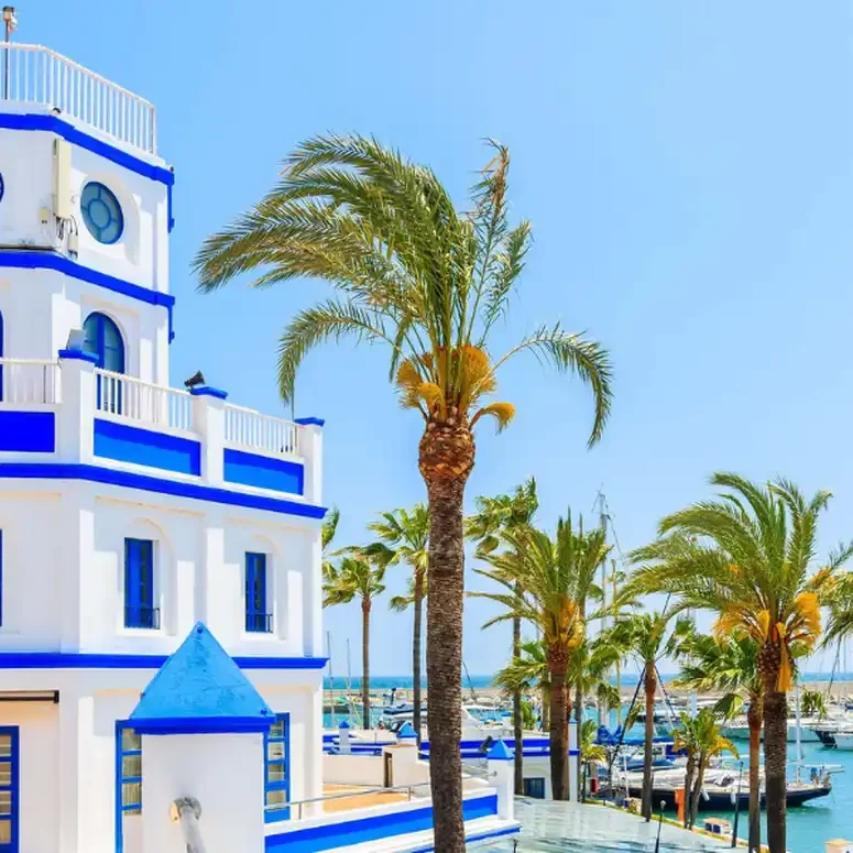 White and blue building with palm trees and sea view.