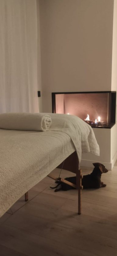 Living room with a bed, a lit fireplace, and a dog lying on the floor.